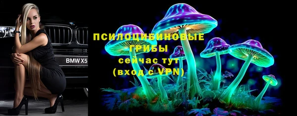 ПСИЛОЦИБИНОВЫЕ ГРИБЫ Вязьма