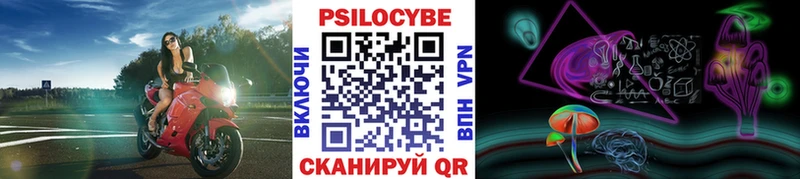 как найти   mega ONION  Псилоцибиновые грибы Magic Shrooms  Калач 