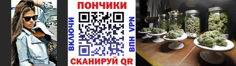 Бошки марихуана планчик  закладки  Калач 
